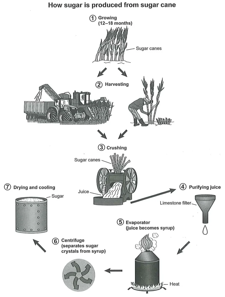 Cambridge IELTS 16 Academic Test 2 Writing Task 1 visual